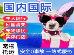 果洛玛沁机场货运国际宠物托运 【国